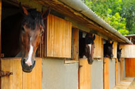 free Auchenlochan stable construction quotes
